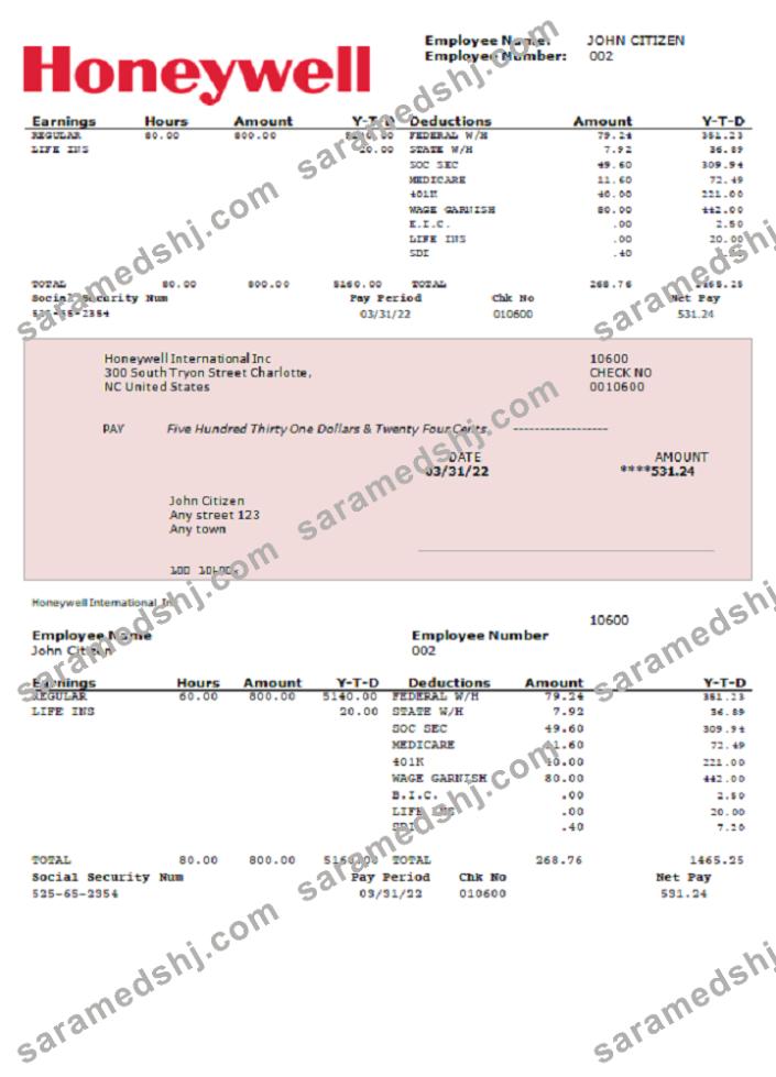 USA Honeywell conglomerate company pay stub Word